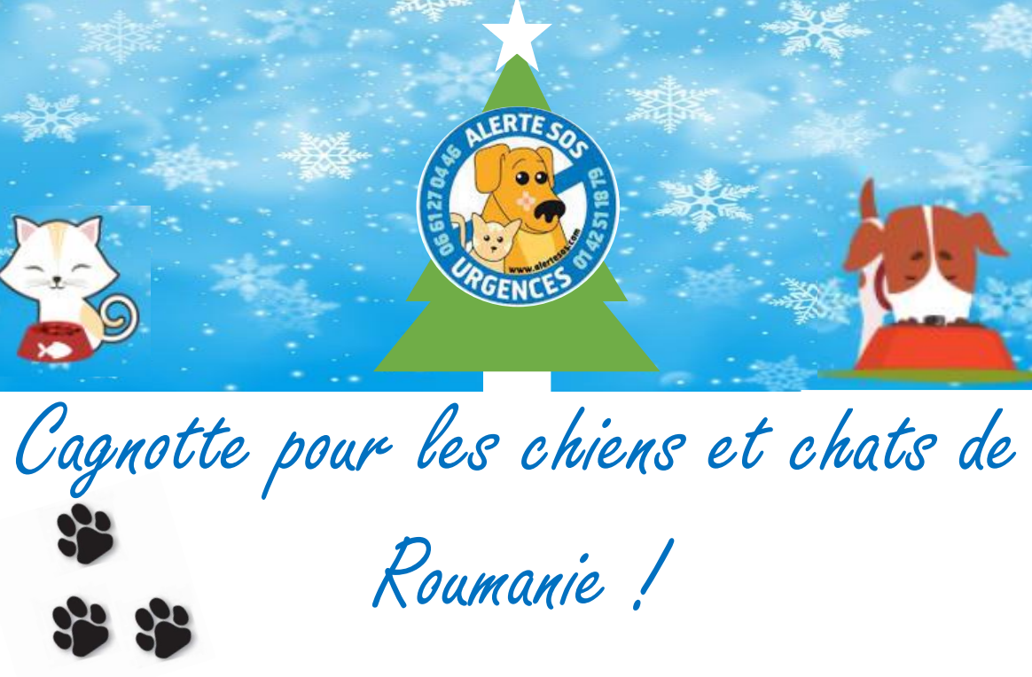 Affiche_cagnotte