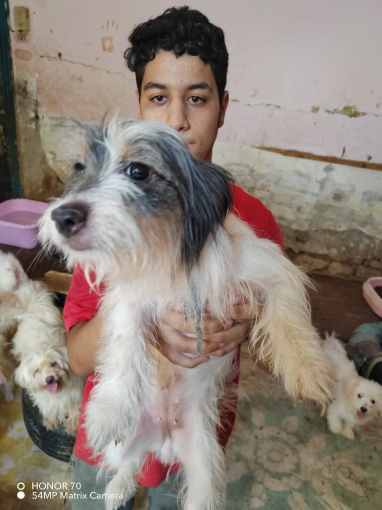 SUZZY