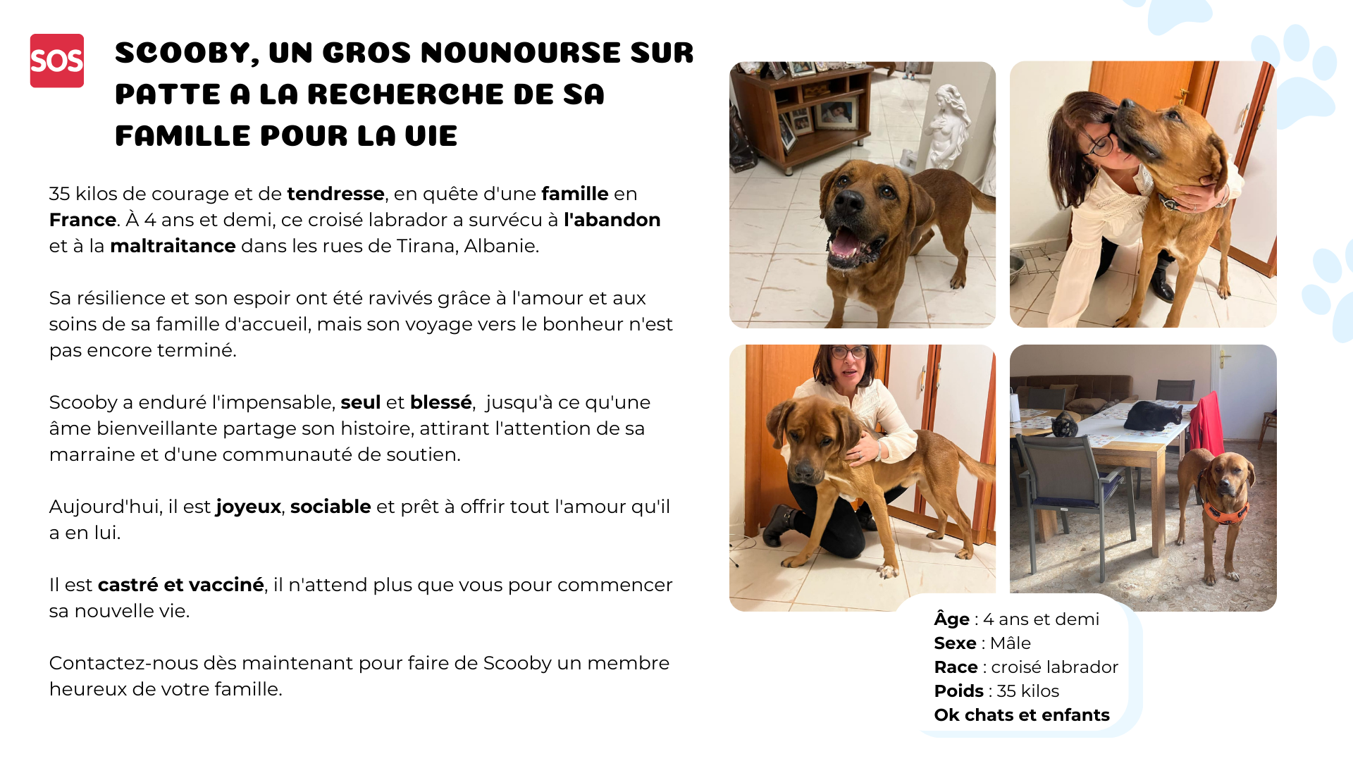 alerte sos (4)