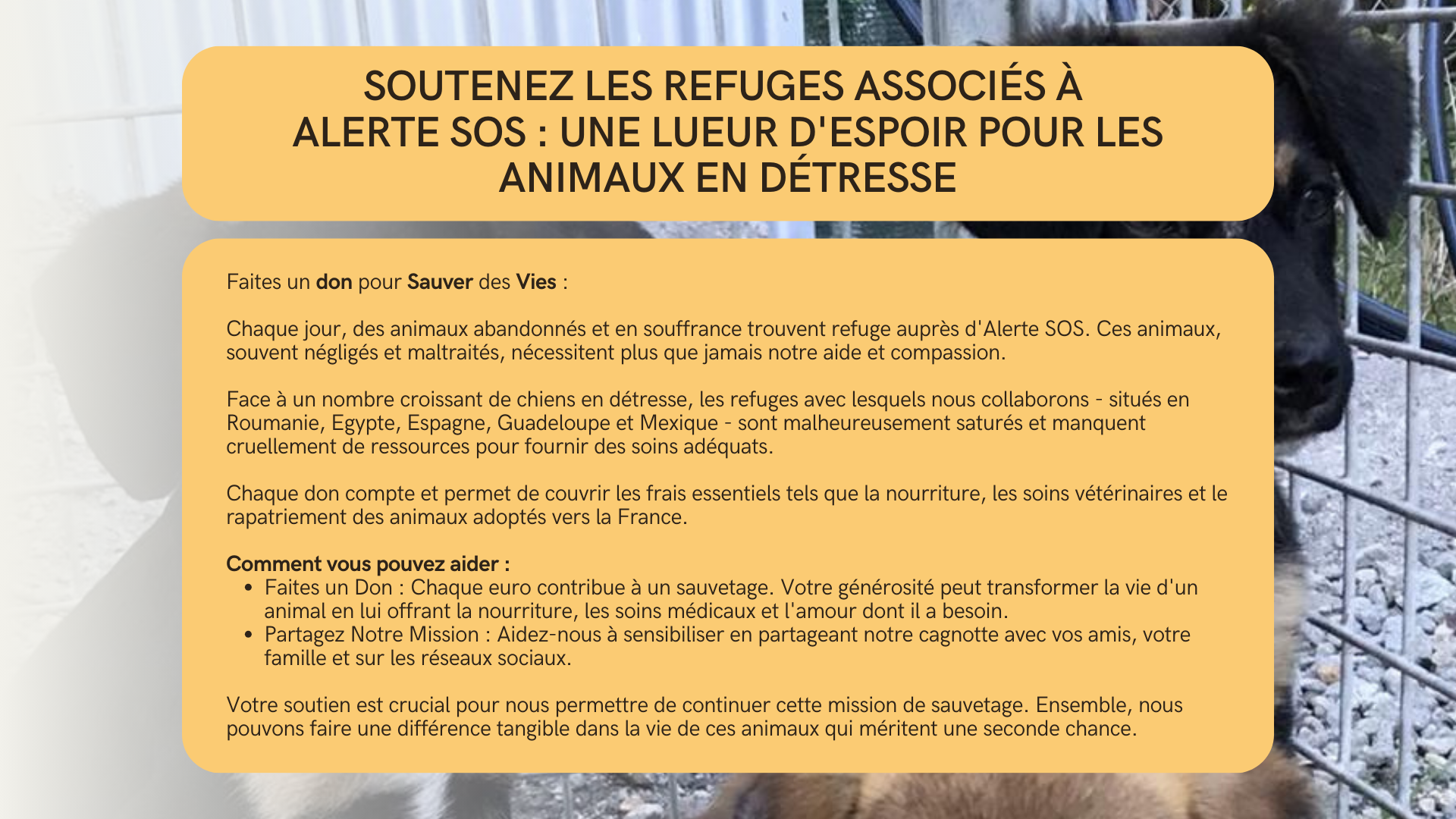 alerte sos (1)