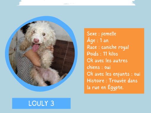 louly 3