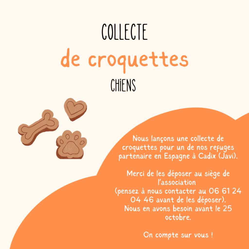 collecte croquettes refuge espagne