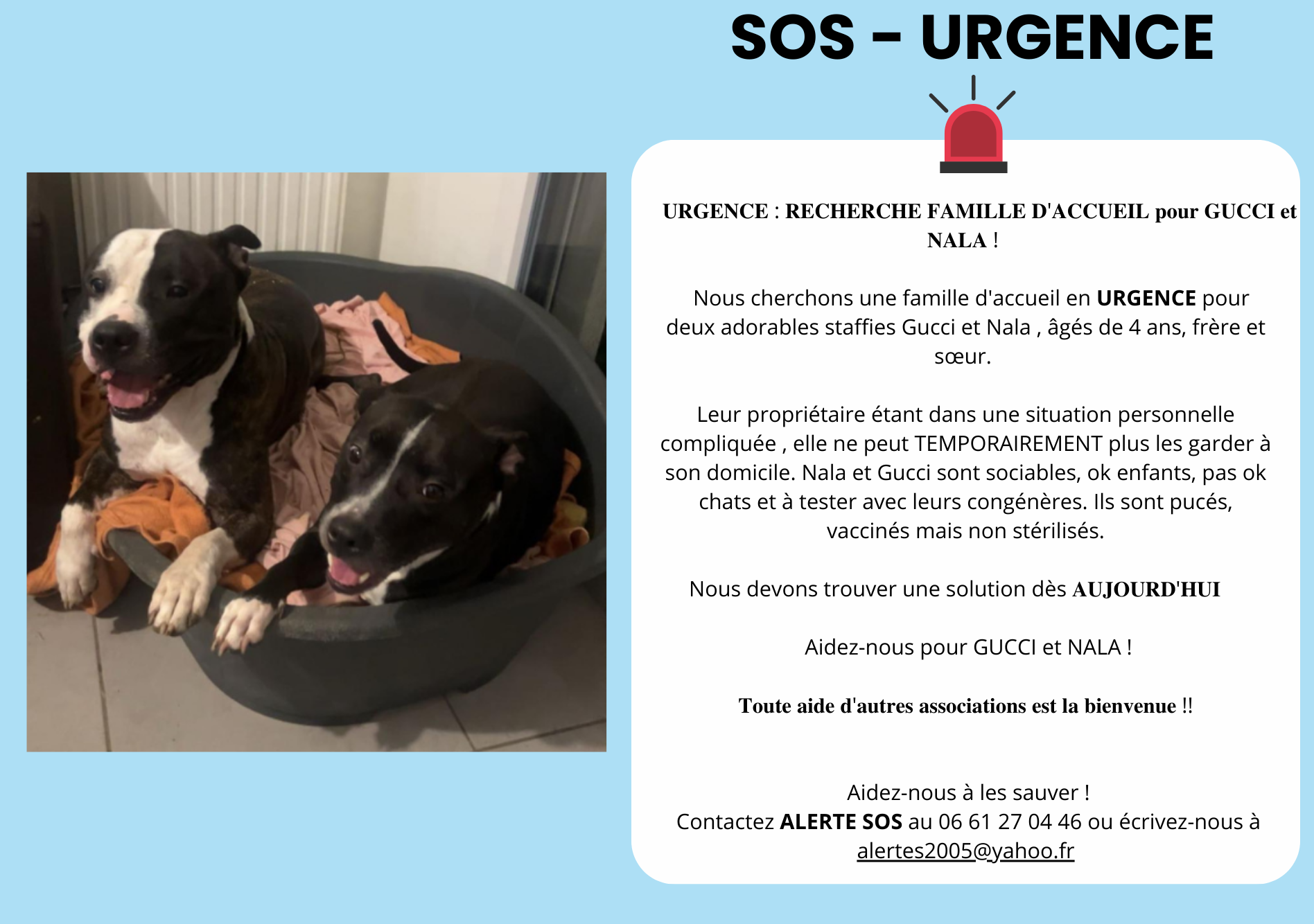 sos urgence (1)
