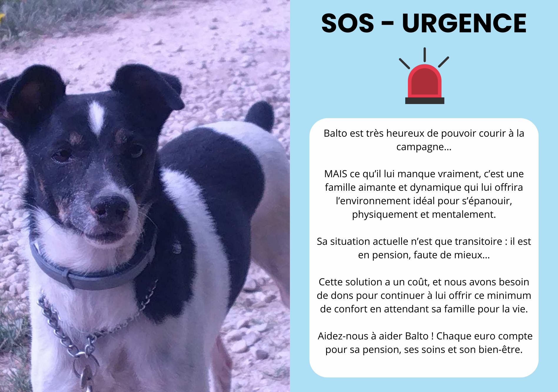 sos urgence