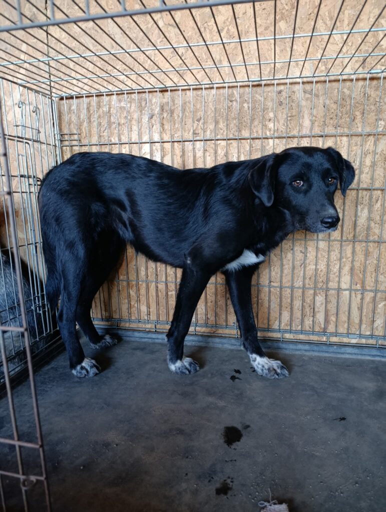 whatsapp image 2025 12 12 at 12.53.34