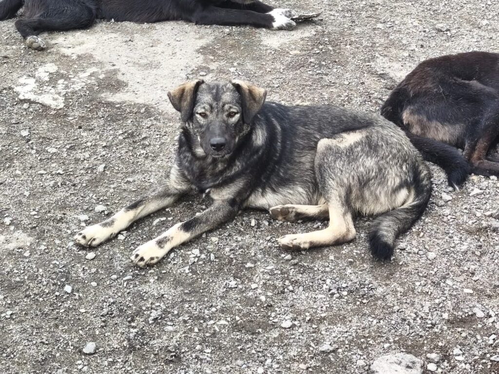 whatsapp image 2025 12 12 at 13.05.54