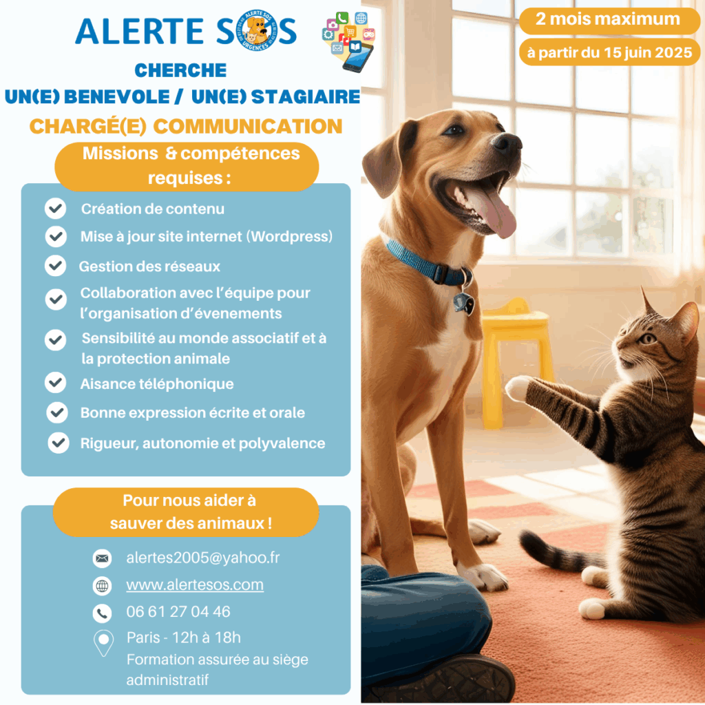 annonce communication