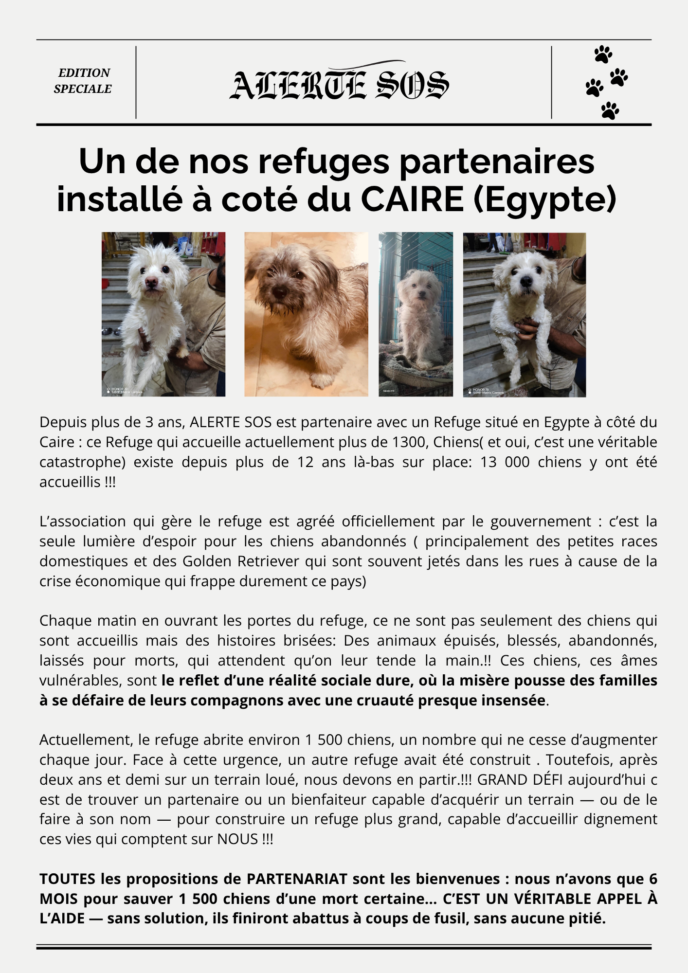 article egypte 25 juin 25
