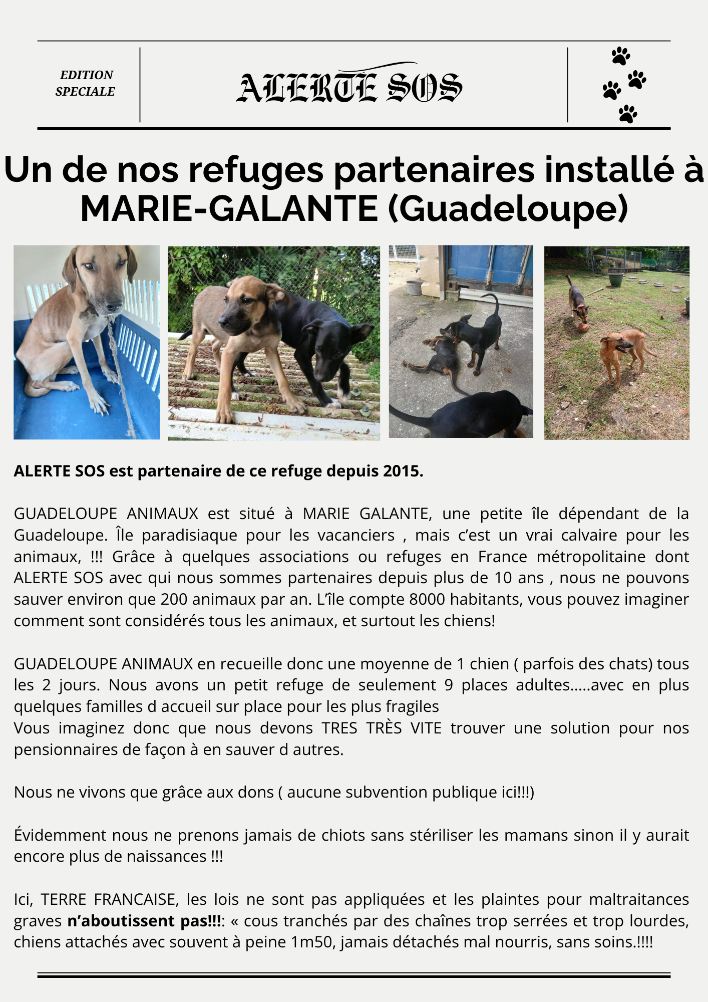 article guadeloupe 25 juin 25