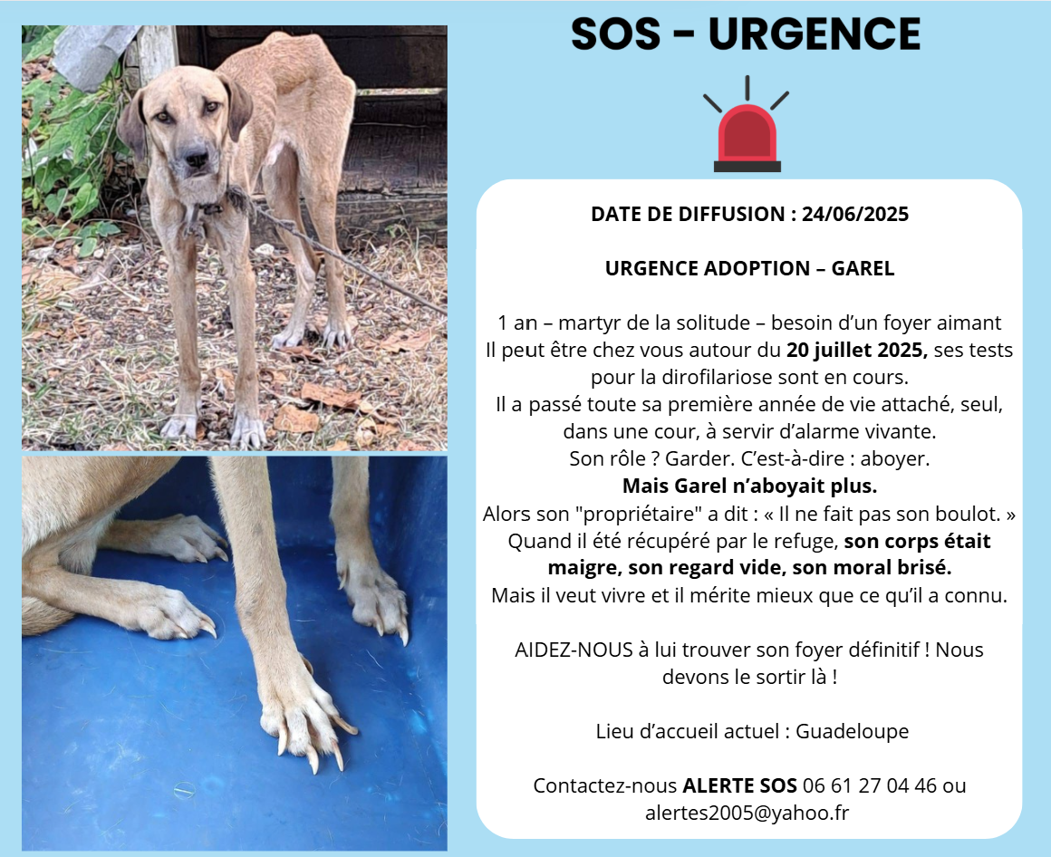 capture d’écran 2025 06 24 165753