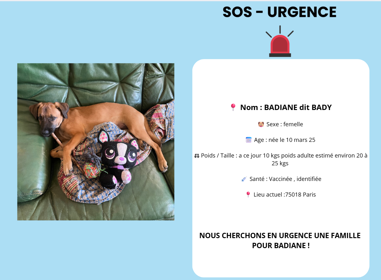 badiane