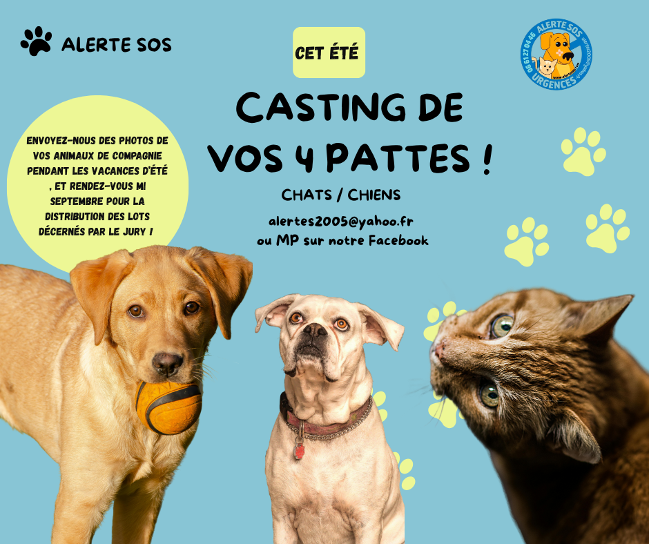 envoyez nous des photos de vos animaux de compagnie pendant les vacances d’ete, et rendez vous mi septembre pour la distribution des lots decernes par le jury ! (1) (1)