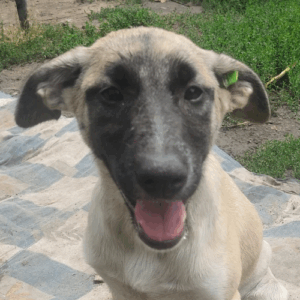 redimensions photos site (48)