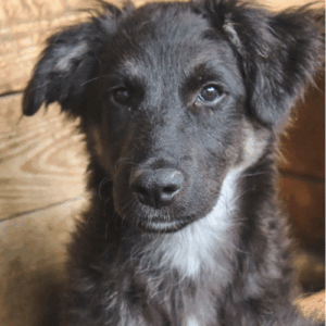 redimensions photos site (52)