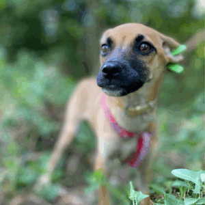 redimensions photos site (54)