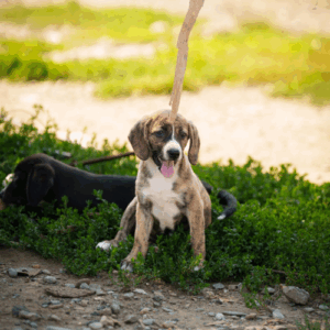 redimensions photos site (69)