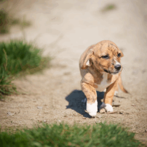 redimensions photos site (70)