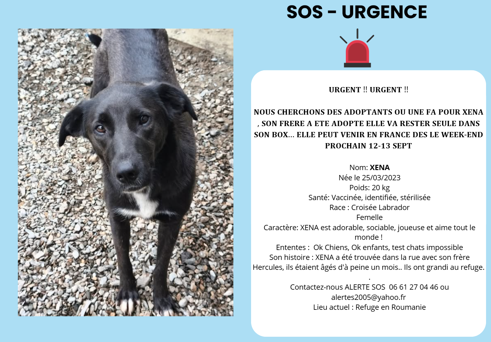 xena sos