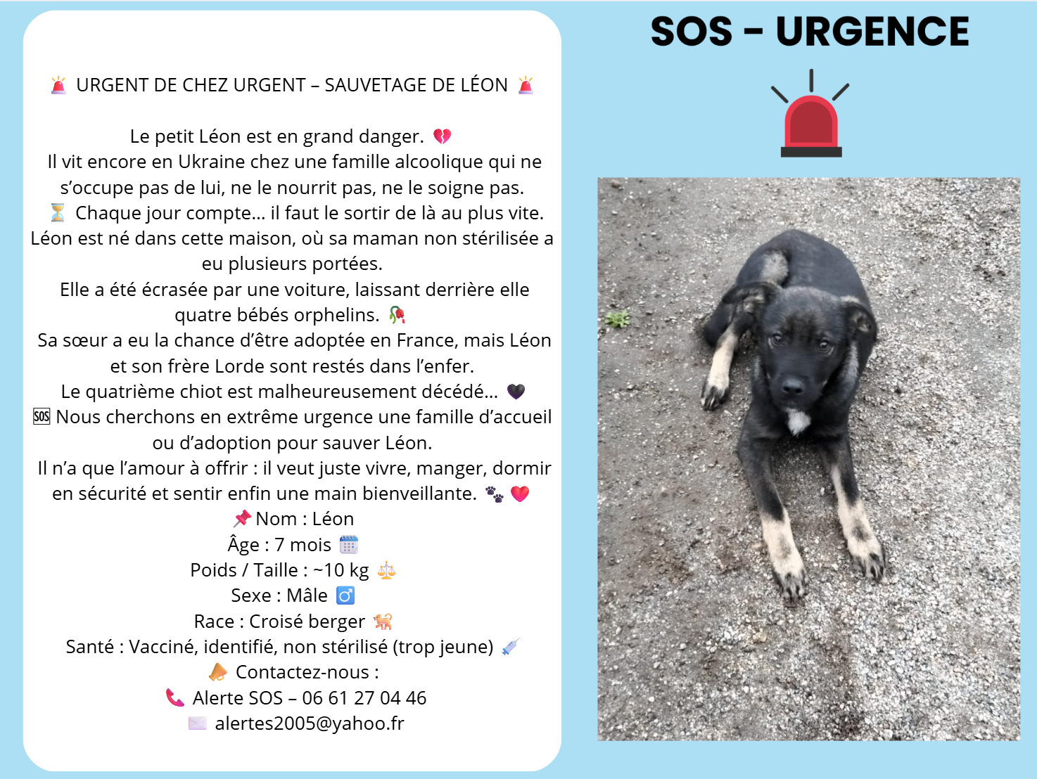 leon sos