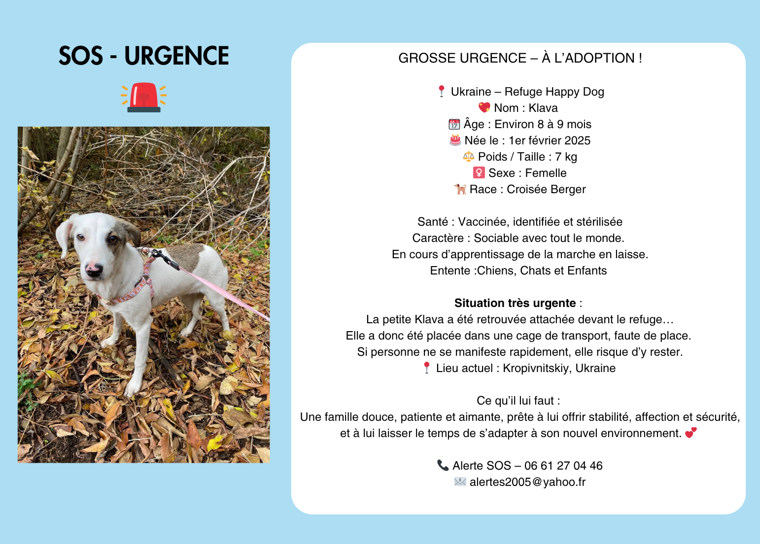 sos urgence (1542 x 1104 px)