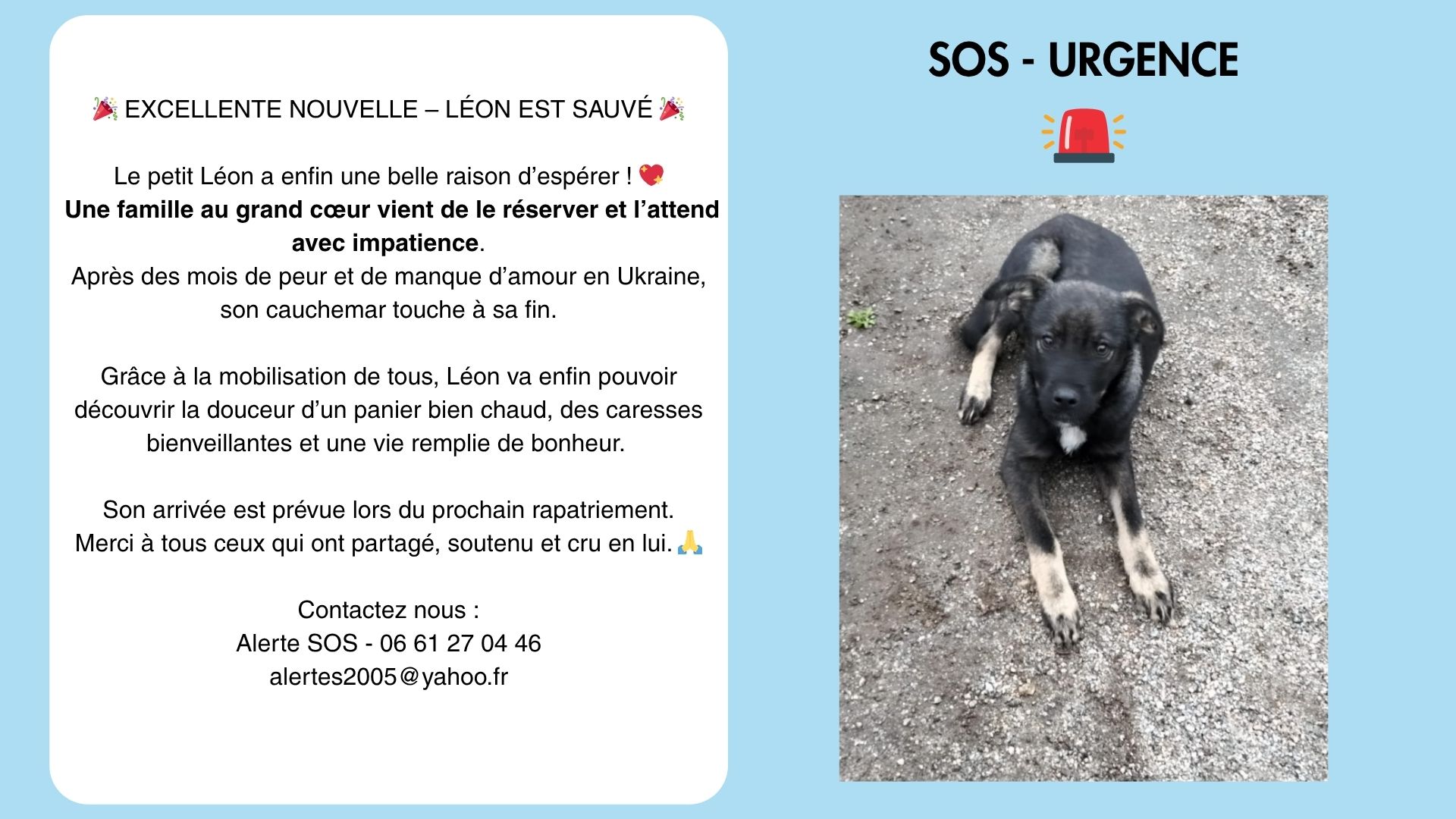sos urgence(1)