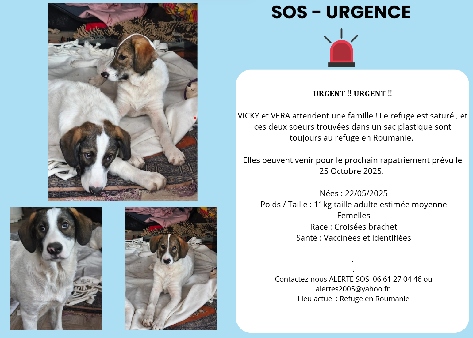vicky vera sos