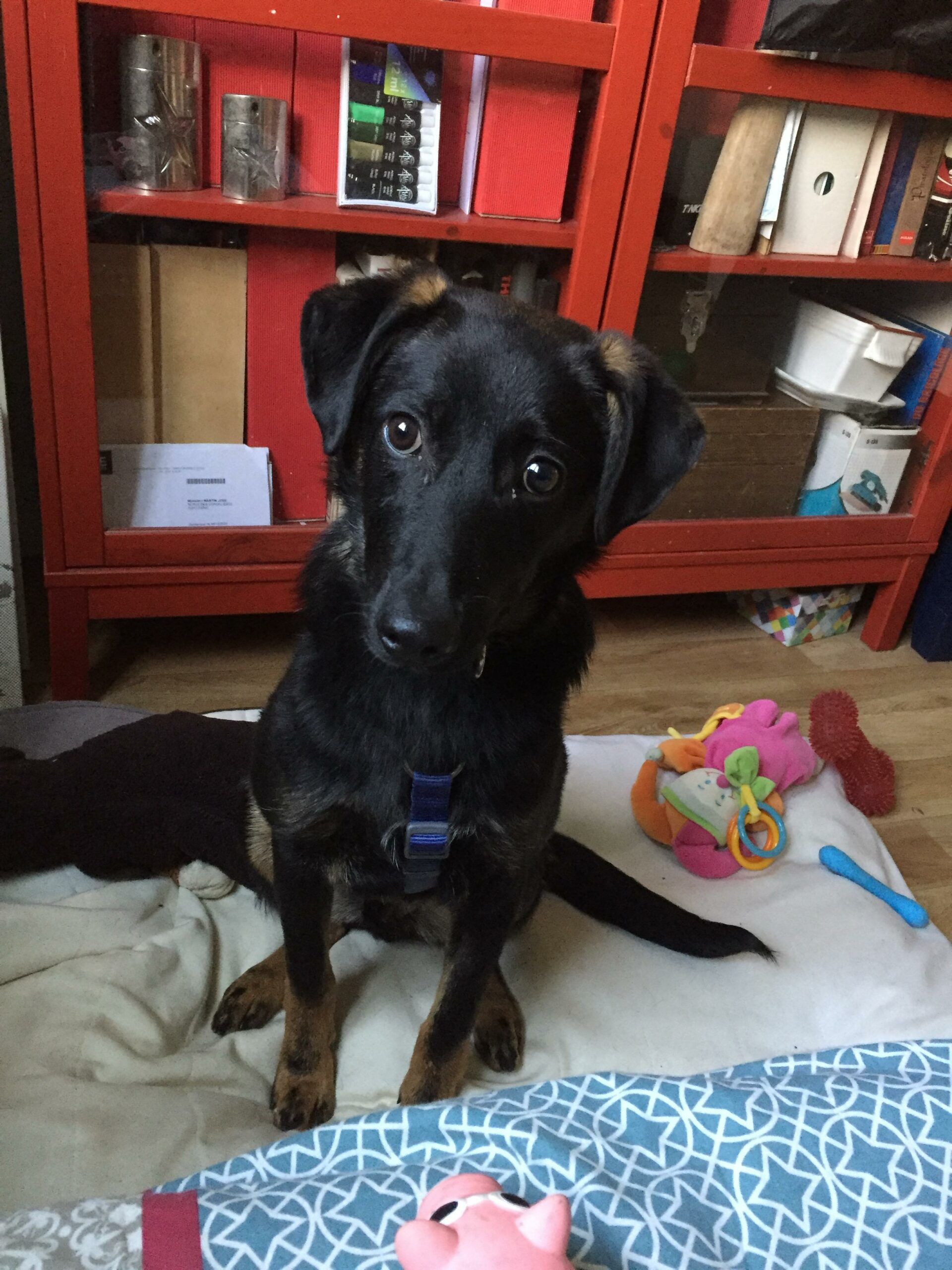 whatsapp image 2025 12 10 at 09.23.26