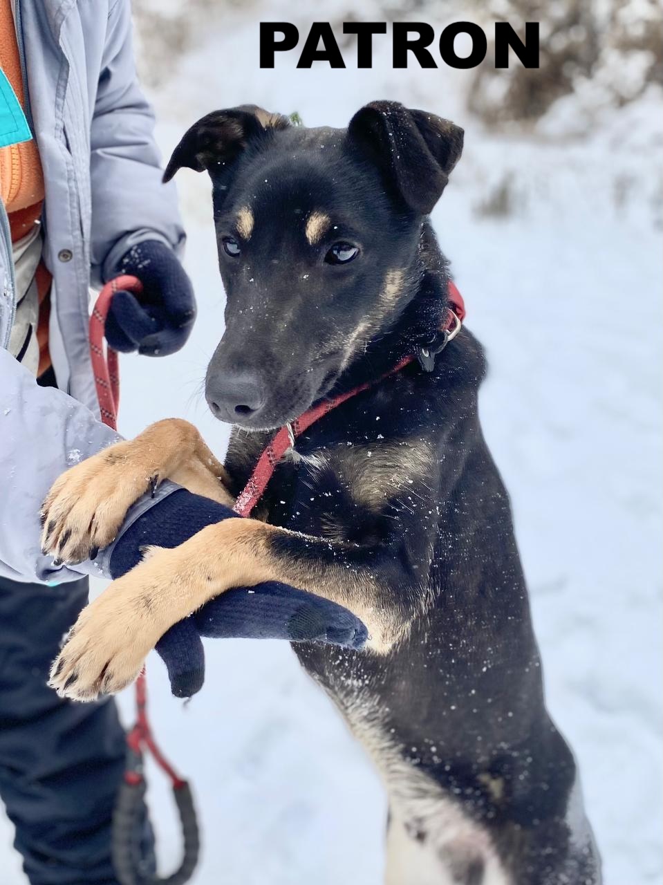 whatsapp image 2026 01 01 at 10.09.14