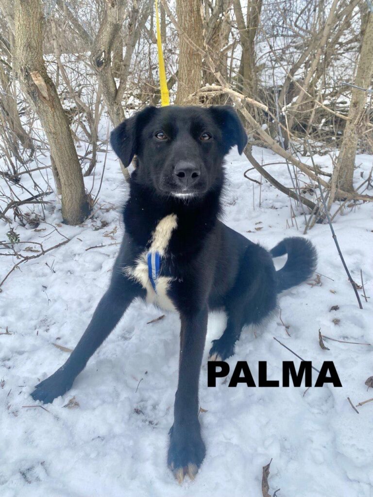 whatsapp image 2026 01 08 at 22.00.57 (1)