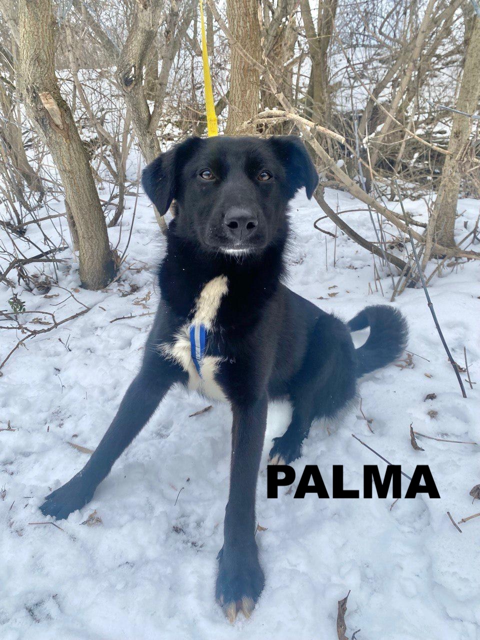 whatsapp image 2026 01 08 at 22.00.57 (1)