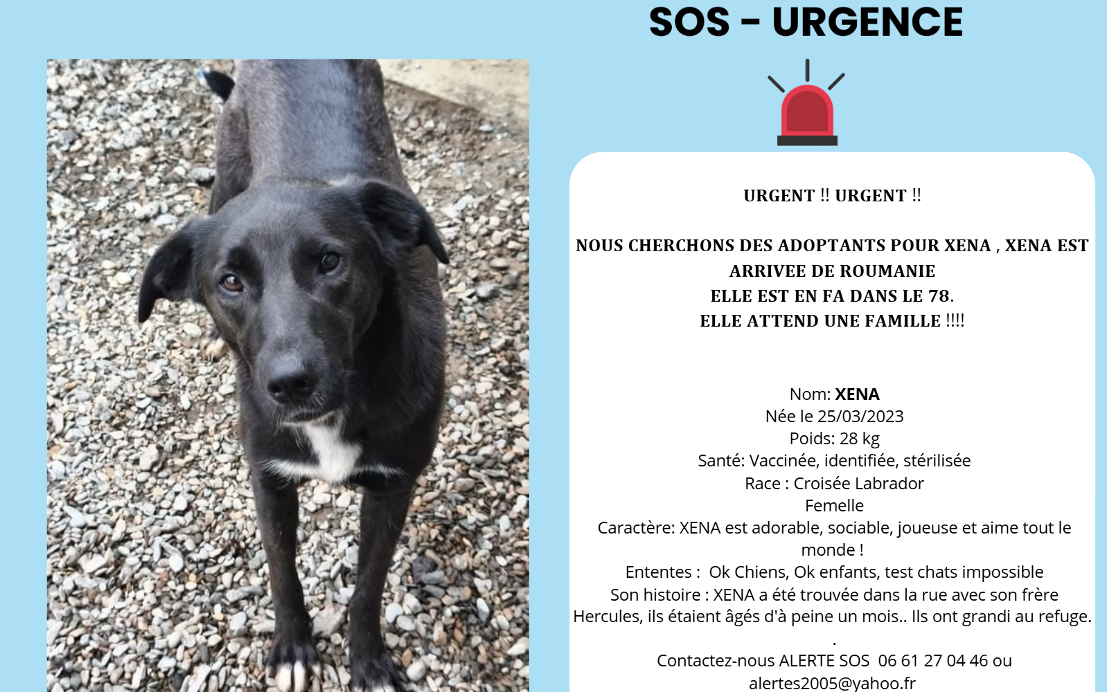 xena sos