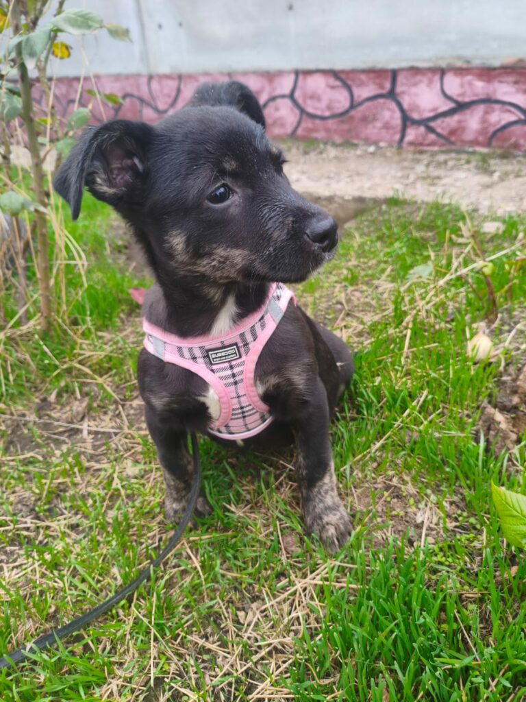 569250352 832710999270171 1322063543646076654 n