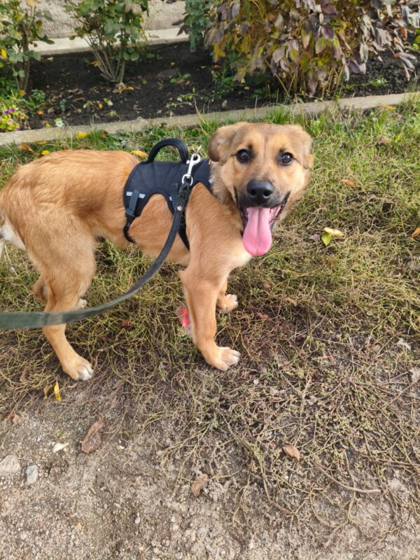 571158279 832696022605002 927737644892661418 n