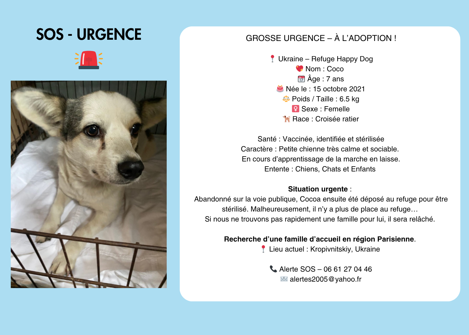 sos urgence (1542 x 1104 px) (1)