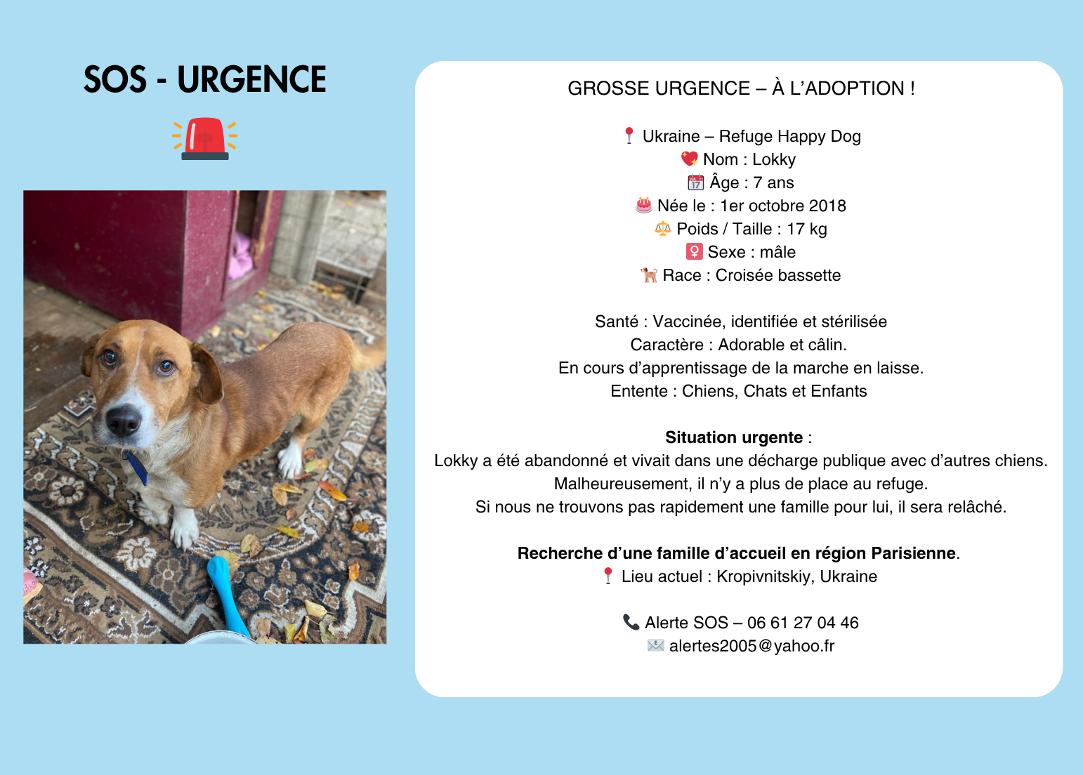 sos urgence (1542 x 1104 px)