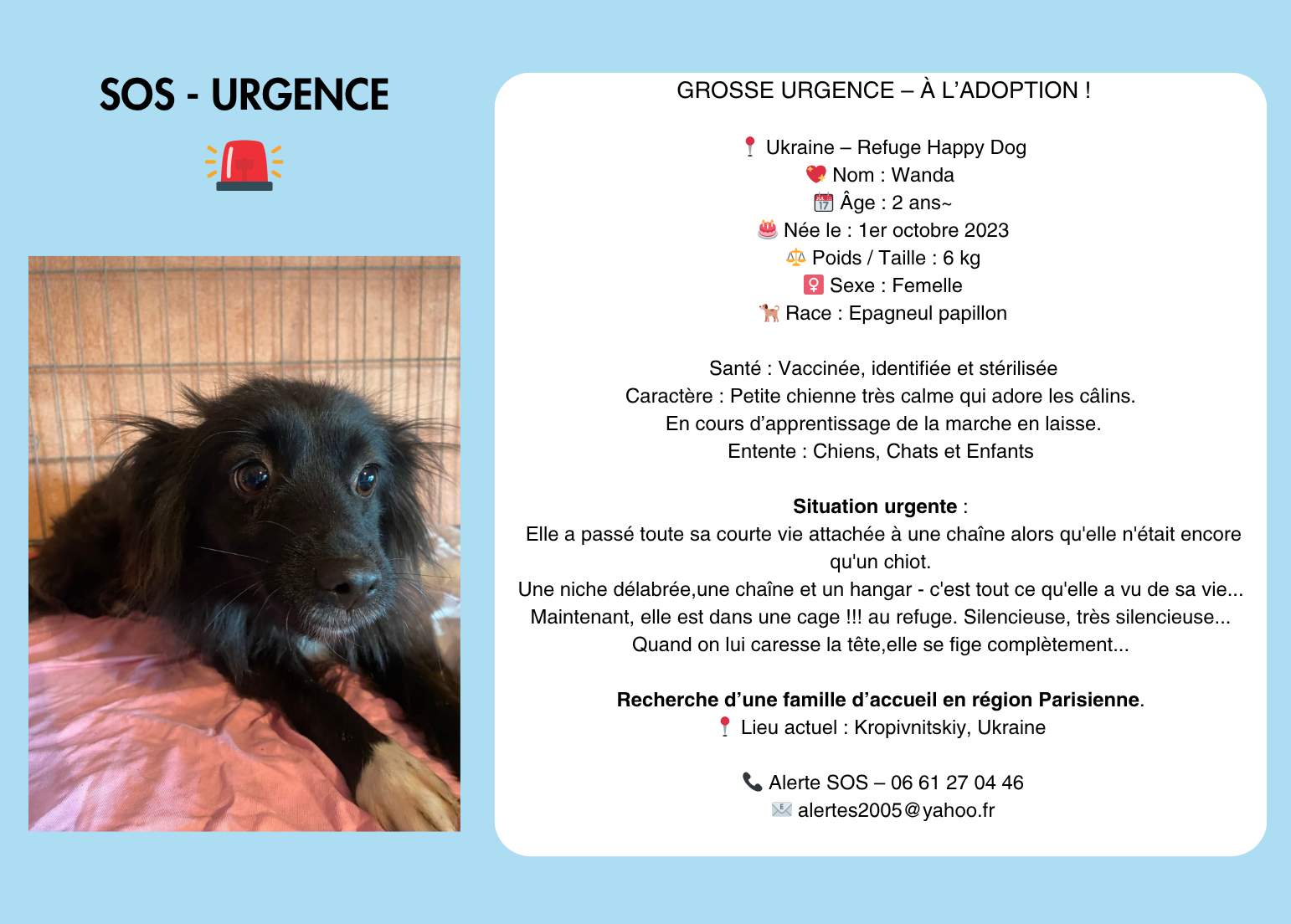 sos urgence (1542 x 1104 px)(1)