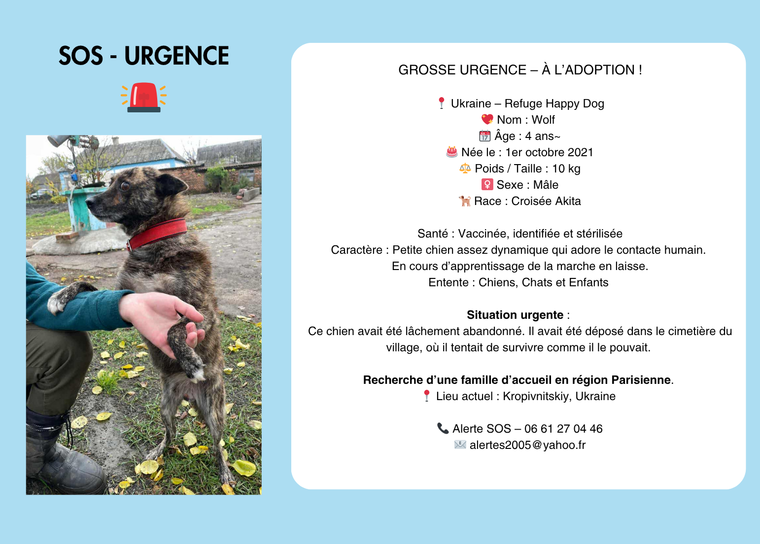 sos urgence (1542 x 1104 px)(2)