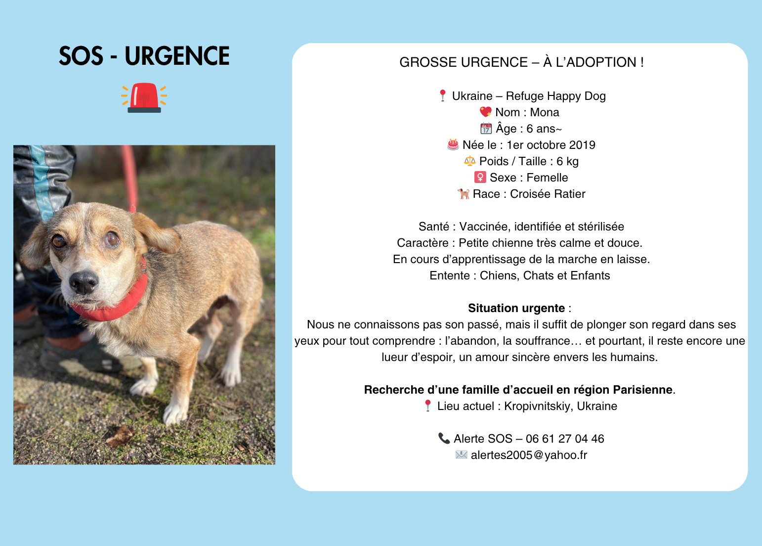 sos urgence (1542 x 1104 px)(3)