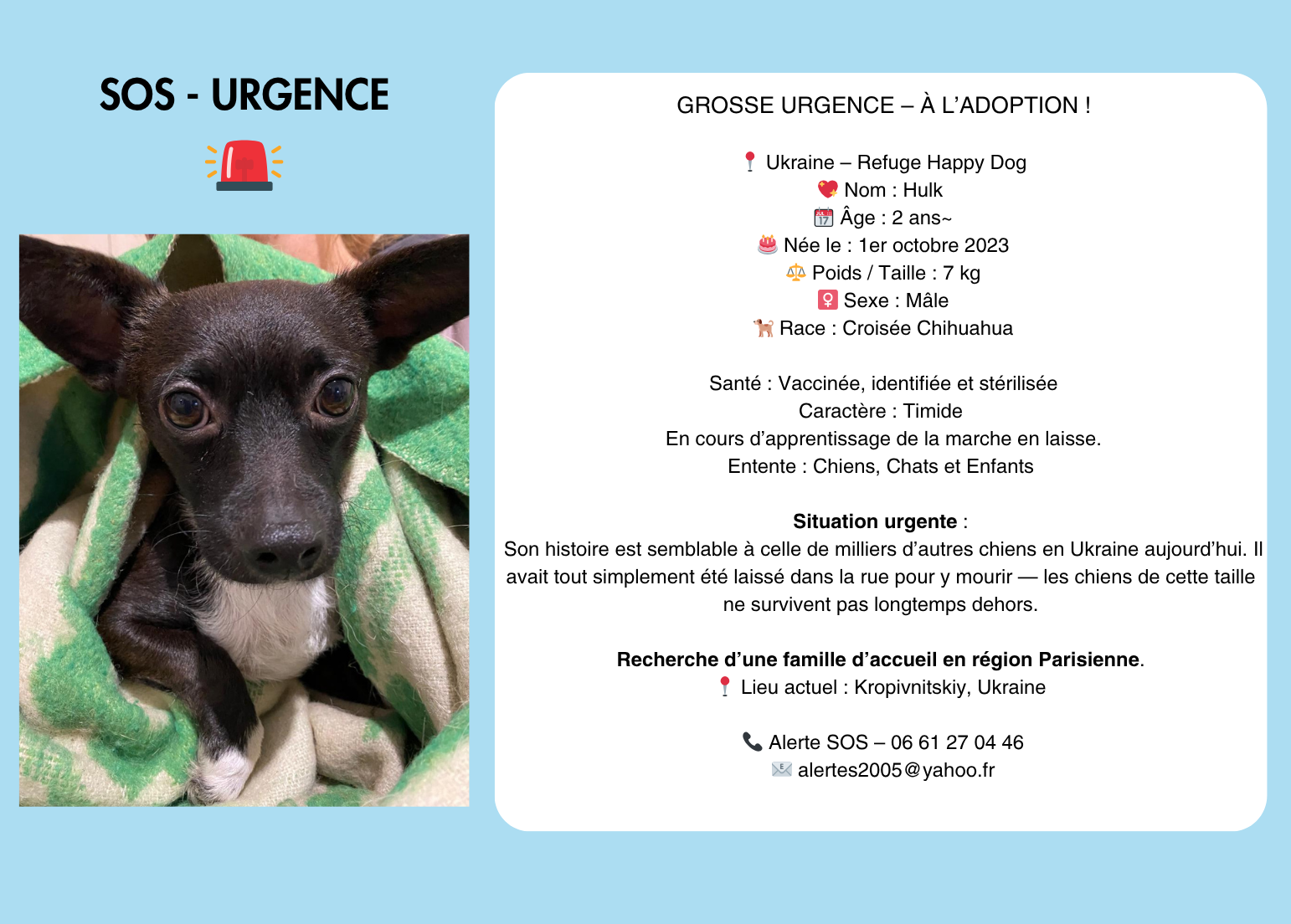 sos urgence (1542 x 1104 px)(7)