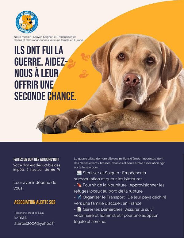 Don pour les animaux à adopter