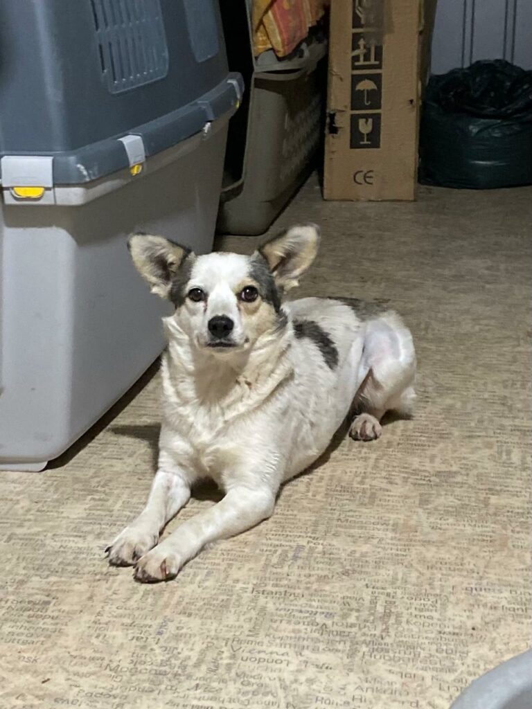 whatsapp image 2025 11 06 à 23.05.11 26c91c94