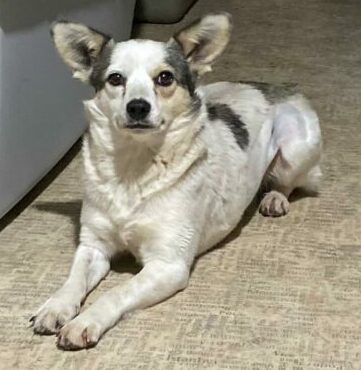 whatsapp image 2025 11 06 à 23.05.11 26c91c94