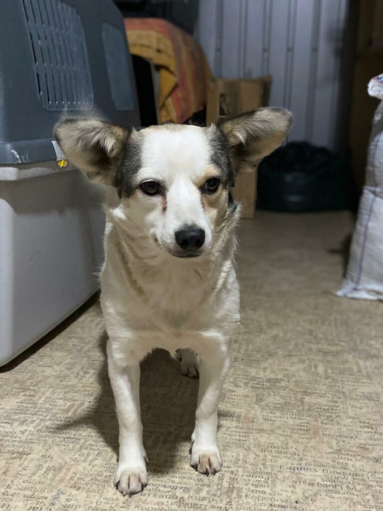 whatsapp image 2025 11 06 à 23.05.11 d5937525