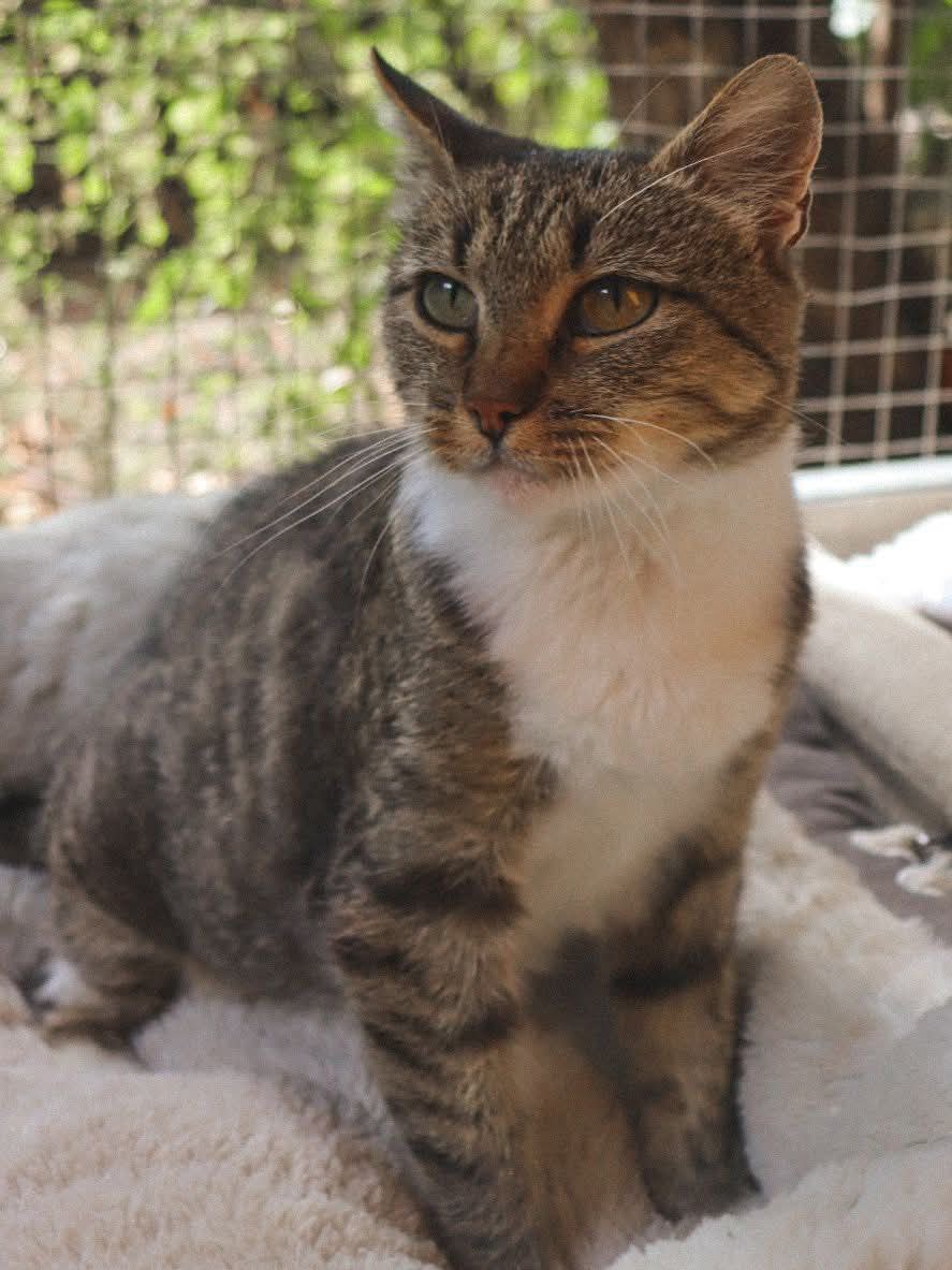 whatsapp image 2025 11 06 à 23.29.14 914f1576