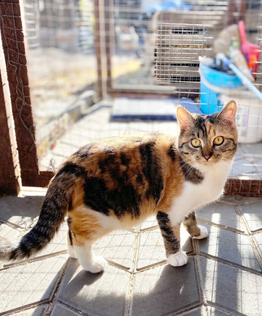 whatsapp image 2025 11 06 à 23.35.50 9ab6c367