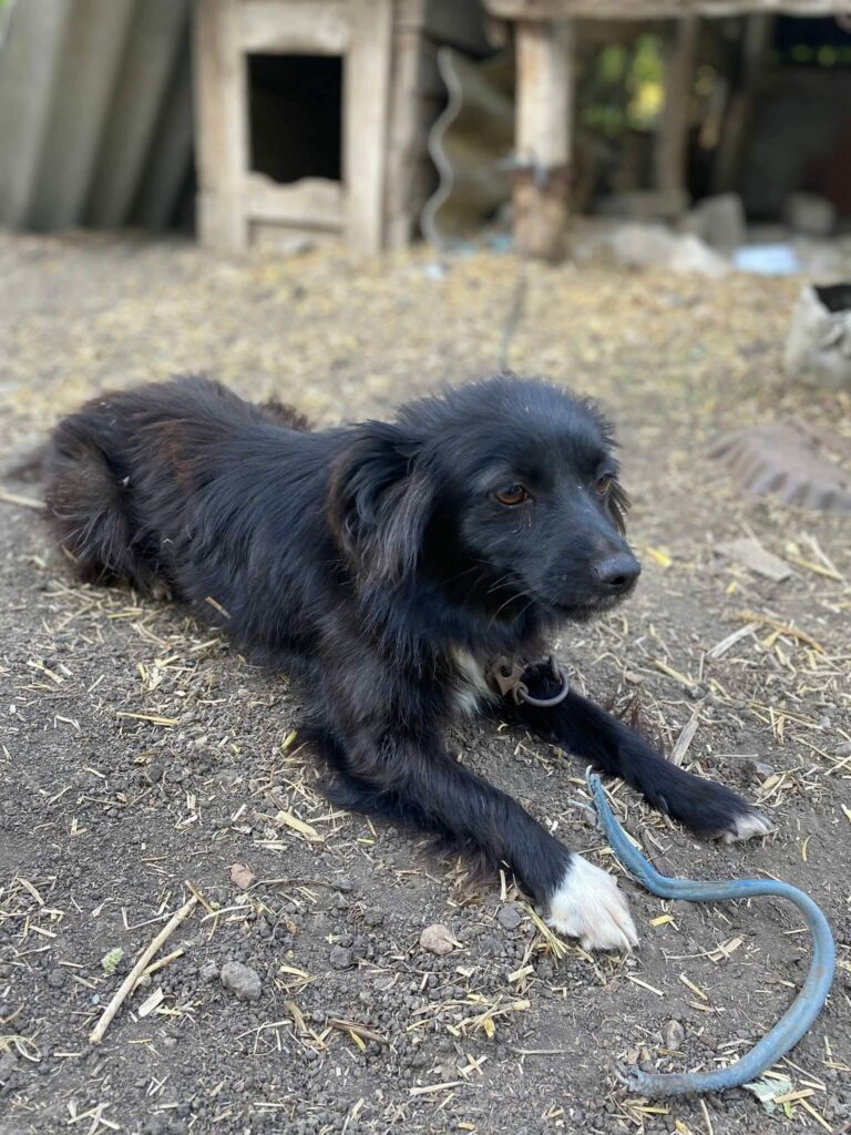 whatsapp image 2025 11 10 à 21.28.21 2b9ac6c2