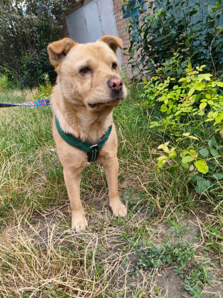 whatsapp image 2025 11 21 à 12.02.48 0cbfcbf3