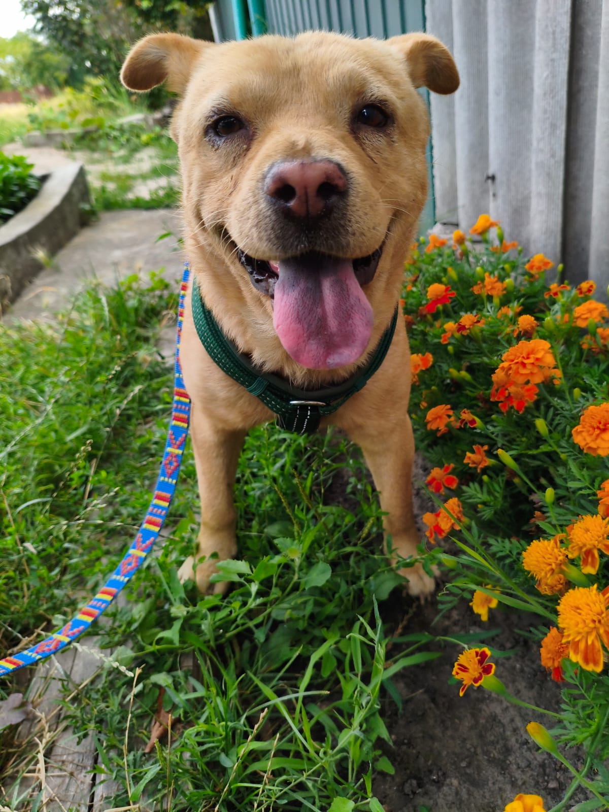 whatsapp image 2025 11 21 à 12.02.48 8c1b3b0d