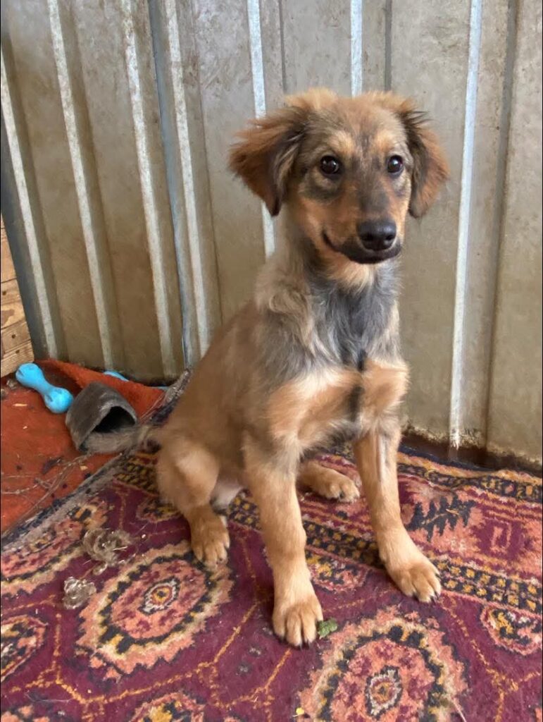 whatsapp image 2025 11 21 à 12.14.51 2b84ac80