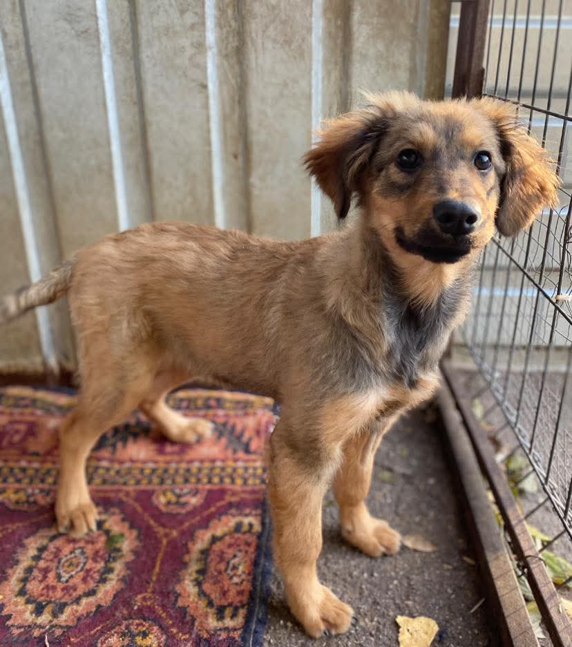 whatsapp image 2025 11 21 à 12.14.52 07557779